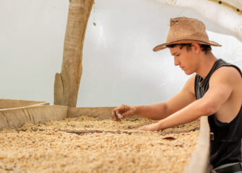 Cooperativa lança segunda edição de projeto para capacitar jovens do Cerrado Mineiro