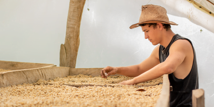 Cooperativa lança segunda edição de projeto para capacitar jovens do Cerrado Mineiro