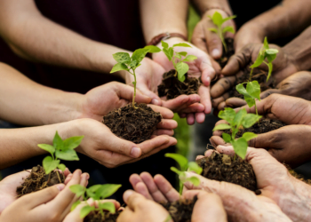 Cooperativismo participa de audiência sobre o novo Marco Legal do Licenciamento Ambiental