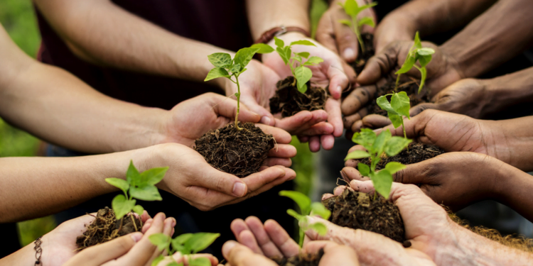 Cooperativismo participa de audiência sobre o novo Marco Legal do Licenciamento Ambiental