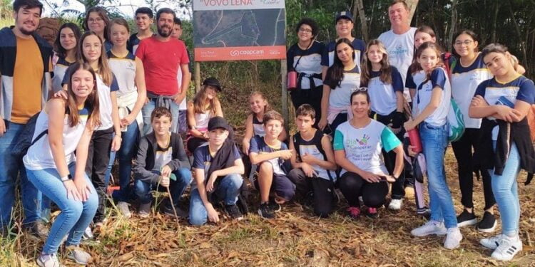 Alunos de cooperativa realizam visita de campo em área de reflorestamento