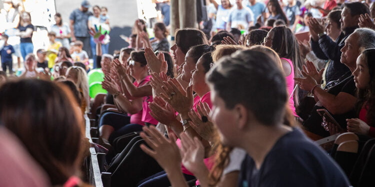 Dia C 2023 mobiliza cooperados de todo o país em ações de solidariedade