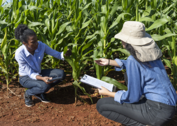 Mapa e Apex-Brasil conhecem detalhes do Programa de Negócios Coop