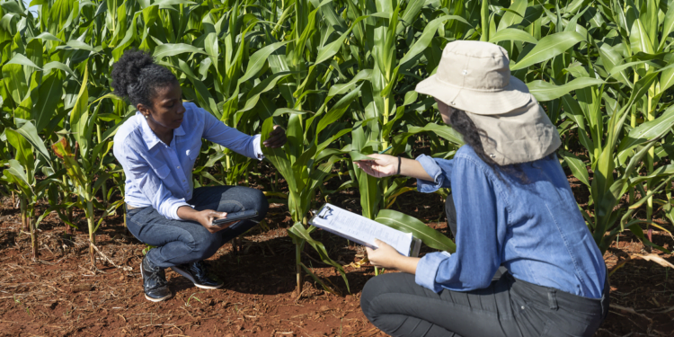 Mapa e Apex-Brasil conhecem detalhes do Programa de Negócios Coop