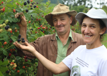 Protagonistas da Transformação: histórias de cooperados que apostam na produção orgânica