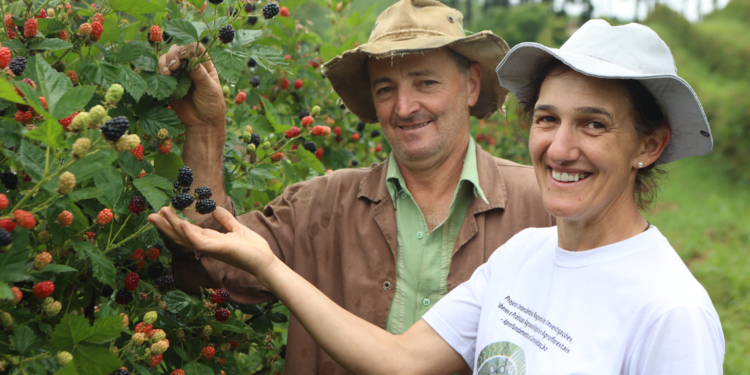 Protagonistas da Transformação: histórias de cooperados que apostam na produção orgânica