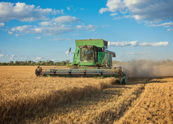 5 maneiras de investir no agronegócio