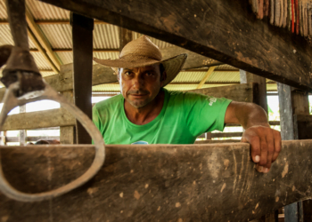 65% dos agricultores do Paraná são associados a cooperativas