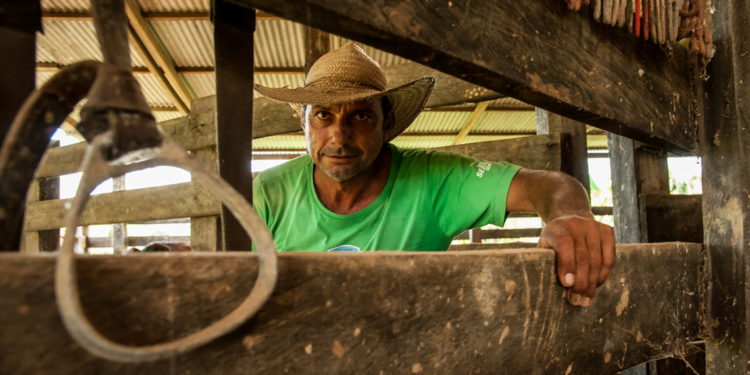 65% dos agricultores do Paraná são associados a cooperativas