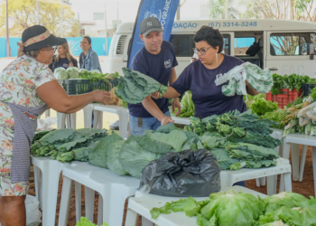 Cooperativa de agricultura urbana chega a 100 associados