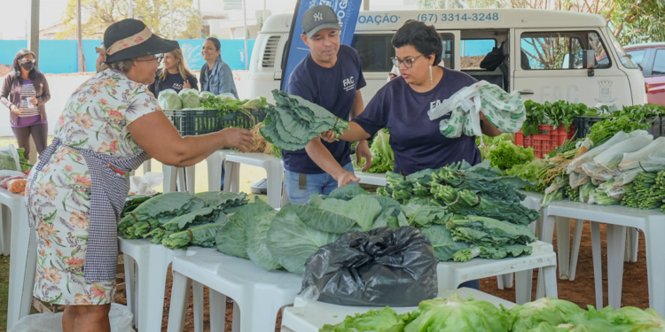 Cooperativa de agricultura urbana chega a 100 associados