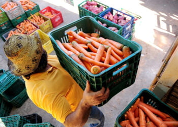 Cooperativas vão continuar a contribuir com o Programa de Aquisição de Alimentos