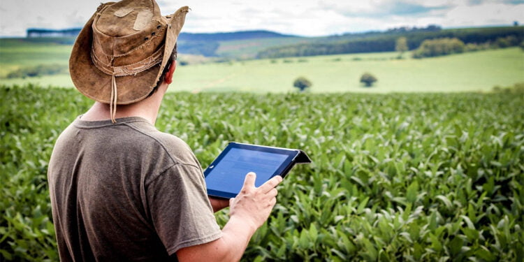 Campo conectado: Supercampo.com plataforma que facilita o dia a dia do agricultor