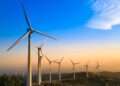 Primeira cooperativa de energia compartilhada do Brasil cresce 200% no primeiro semestre