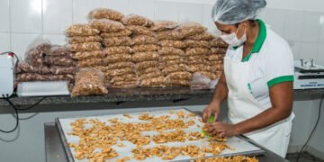 Cooperativismo da Bahia registrou um faturamento de R$ 7,5 bi em 2022