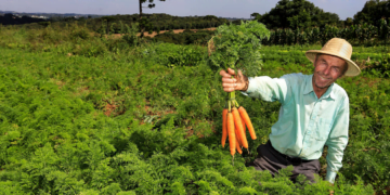 Cooperativas do ES fornecem itens da agricultura familiar para cidades de SP