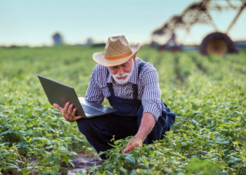 Estudo sobre participação do coop na conectividade rural é apresentado à Anatel