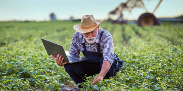 Estudo sobre participação do coop na conectividade rural é apresentado à Anatel