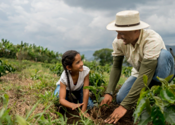 MDA lança programa de gestão para cooperativas da agricultura familiar