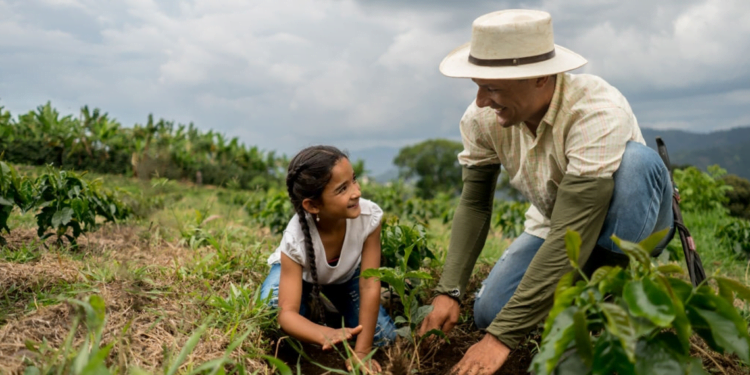 MDA lança programa de gestão para cooperativas da agricultura familiar