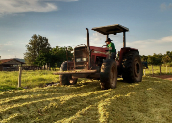 Cooperativas vão responder por mais da metade do crédito rural no Paraná