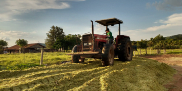 Cooperativas vão responder por mais da metade do crédito rural no Paraná