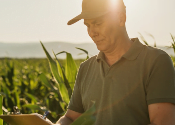 Bancos e cooperativas injetam dinheiro na onda verde do agro do ES