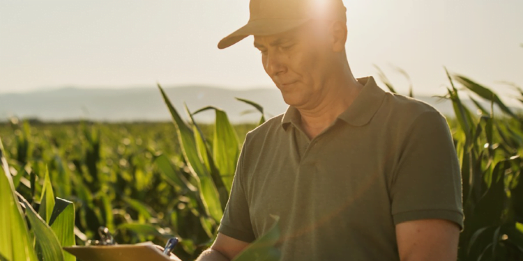 Bancos e cooperativas injetam dinheiro na onda verde do agro do ES