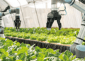 Edital do Agro 4.0 vai disponibilizar R$ 375 mil para cada selecionado