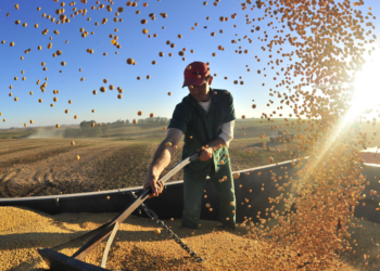 Valor Bruto da Produção Agropecuária de 2023 é atualizado em R$ 1,135 trilhão