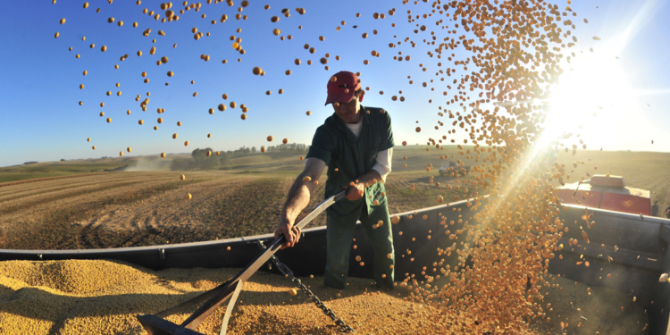 Valor Bruto da Produção Agropecuária de 2023 é atualizado em R$ 1,135 trilhão