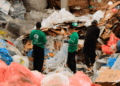 União de empresas com cidades pode triplicar cooperativas de reciclagem
