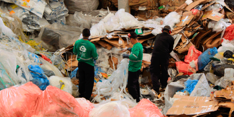 União de empresas com cidades pode triplicar cooperativas de reciclagem