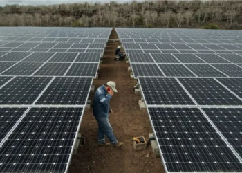 Cooperativa de energia compartilhada expande atuação em SP com investimento de R$ 2 milhões