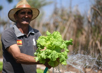 Município fomenta a agricultura familiar através de cooperativa