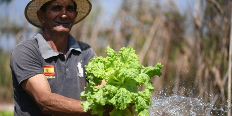 Município fomenta a agricultura familiar através de cooperativa