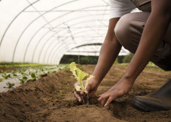 Novo levantamento mostra que 90% dos produtores rurais brasileiros são ESG