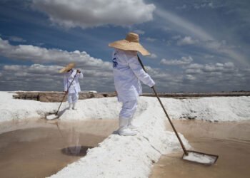 Cooperativas capixabas firmam parceria para produção de sal mineral