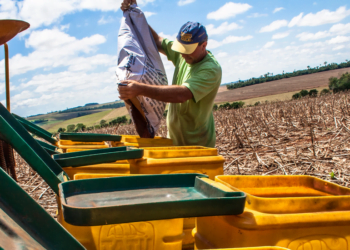 Indústria de fertilizantes é responsável por 15% do PIB de insumos e 6% da agropecuária