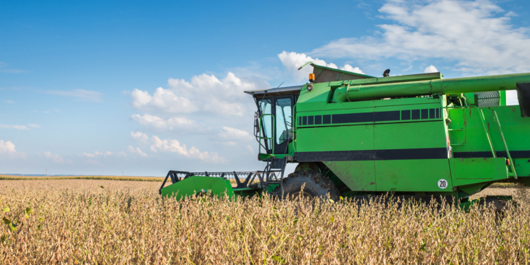 Medidas em prol das cooperativas agro são anunciadas pelo Governo Federal