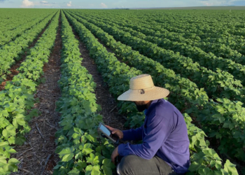 Cooperativas e agroindústrias devem pedir revisão do PRR do Funrural