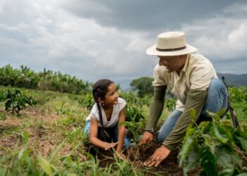 Tecnologia e diversificação impulsionam coop da agricultura familiar