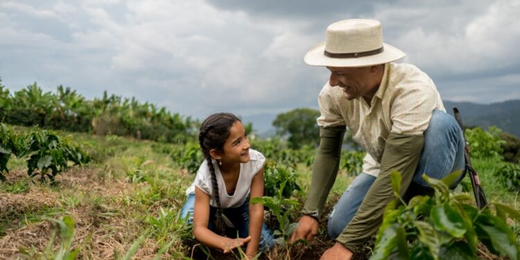 Tecnologia e diversificação impulsionam coop da agricultura familiar