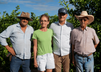 Cooperativa apoia cafeicultores para ampliar competitividade no mercado