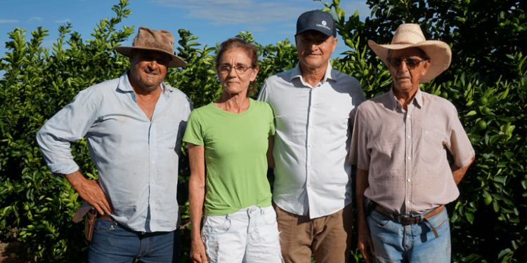 Cooperativa apoia cafeicultores para ampliar competitividade no mercado