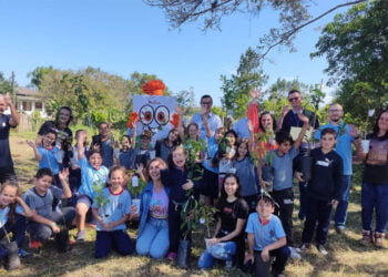 Em parceria com escolas, cooperativa incentiva plantio de mudas de árvores