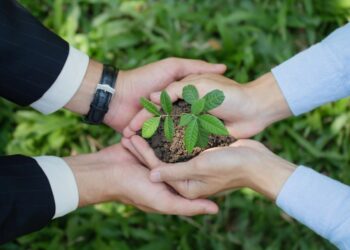 Cooperativa investe em economia verde e adota neutralização de carbono em seus eventos