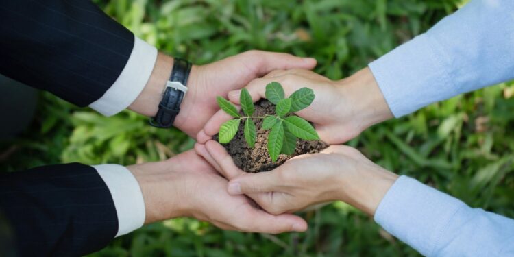 Cooperativa investe em economia verde e adota neutralização de carbono em seus eventos