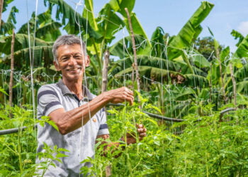 Núcleo de Cooperativismo e Associativismo fortalecerá ações do agronegócio no Amazonas