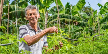 Núcleo de Cooperativismo e Associativismo fortalecerá ações do agronegócio no Amazonas